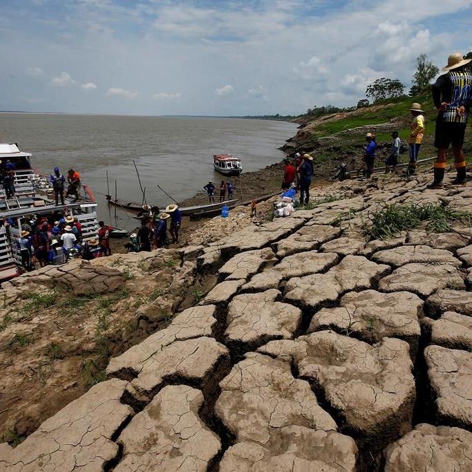 Global warming was primary cause of unprecedented Amazon drought, study finds